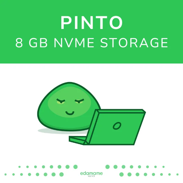 Pinto hosting - 8 GB
